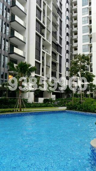 Bartley Ridge (D13), Condominium #174372312